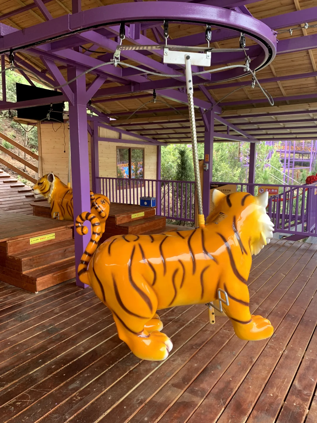 🐎上山飞马｜实用又有趣