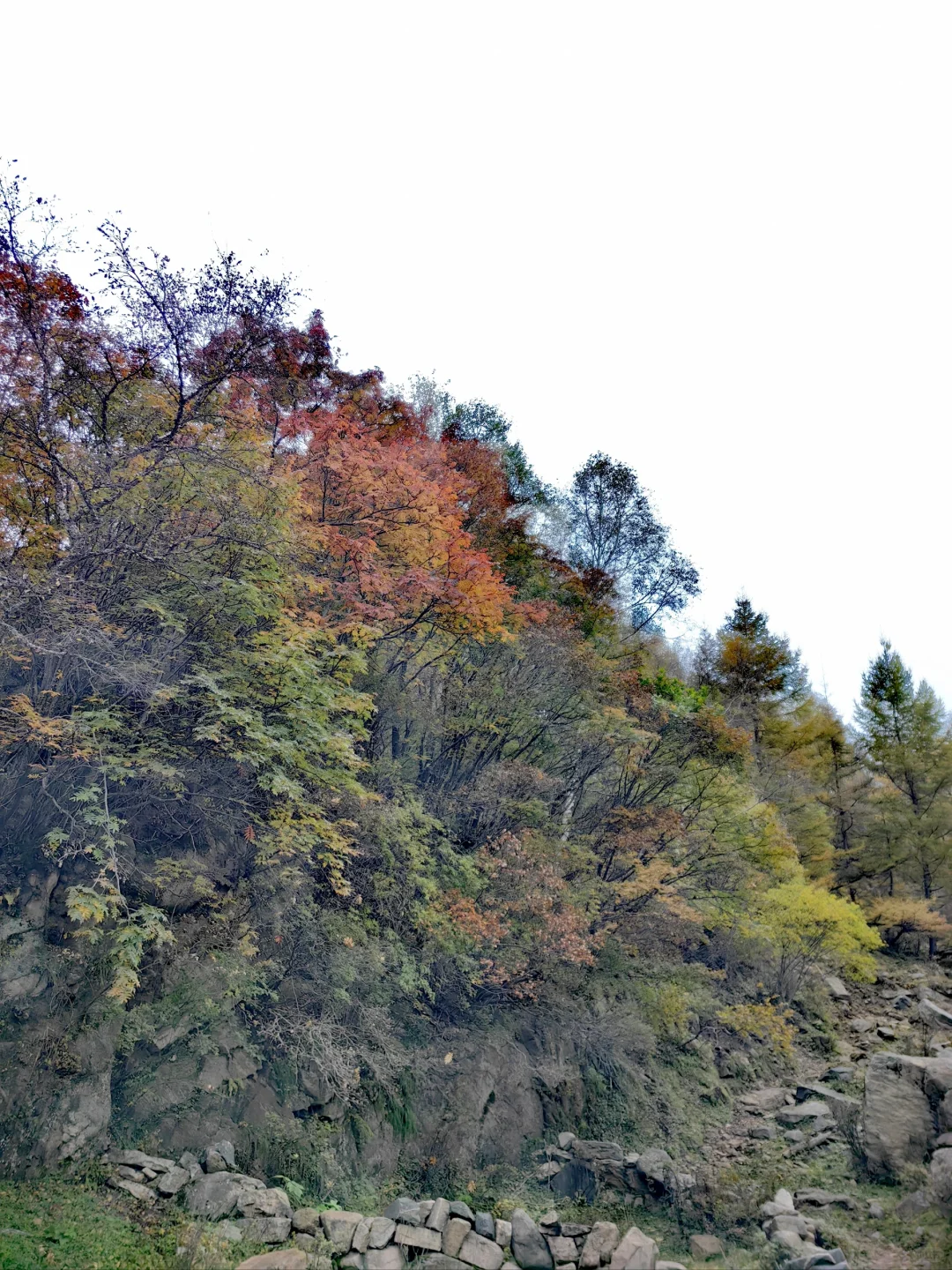 石家庄|没去新疆阿勒泰，被这里美哭了！