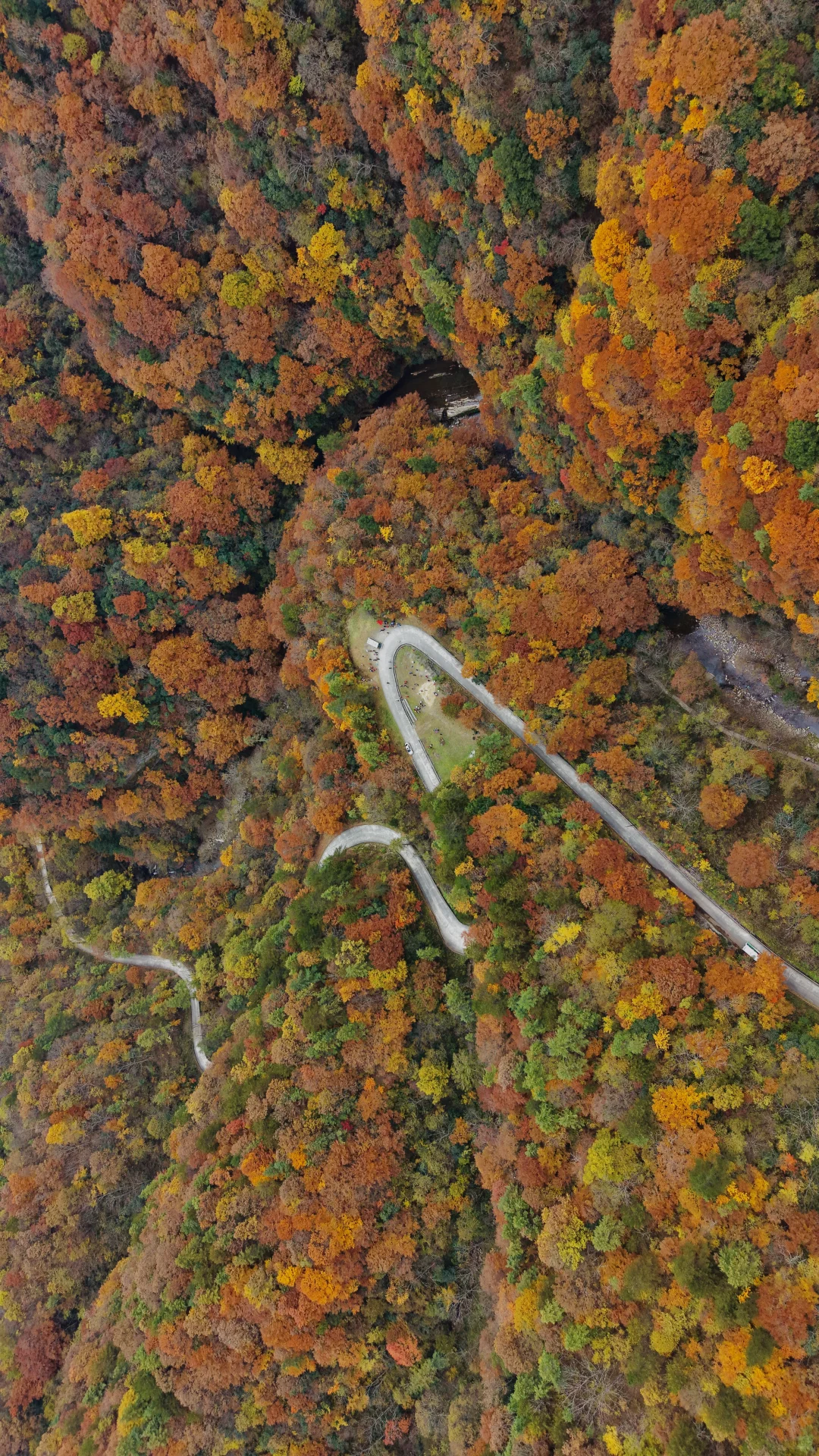 神仙视角下的黎坪秋色
