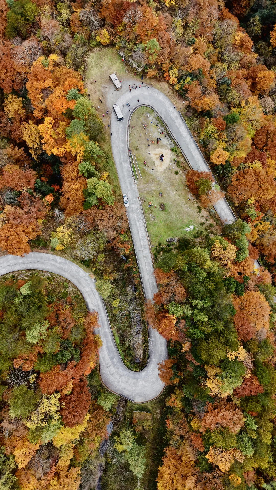 神仙视角下的黎坪秋色