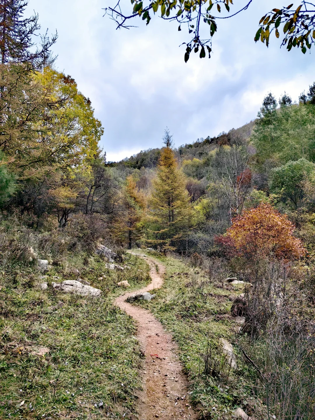 石家庄|没去新疆阿勒泰，被这里美哭了！