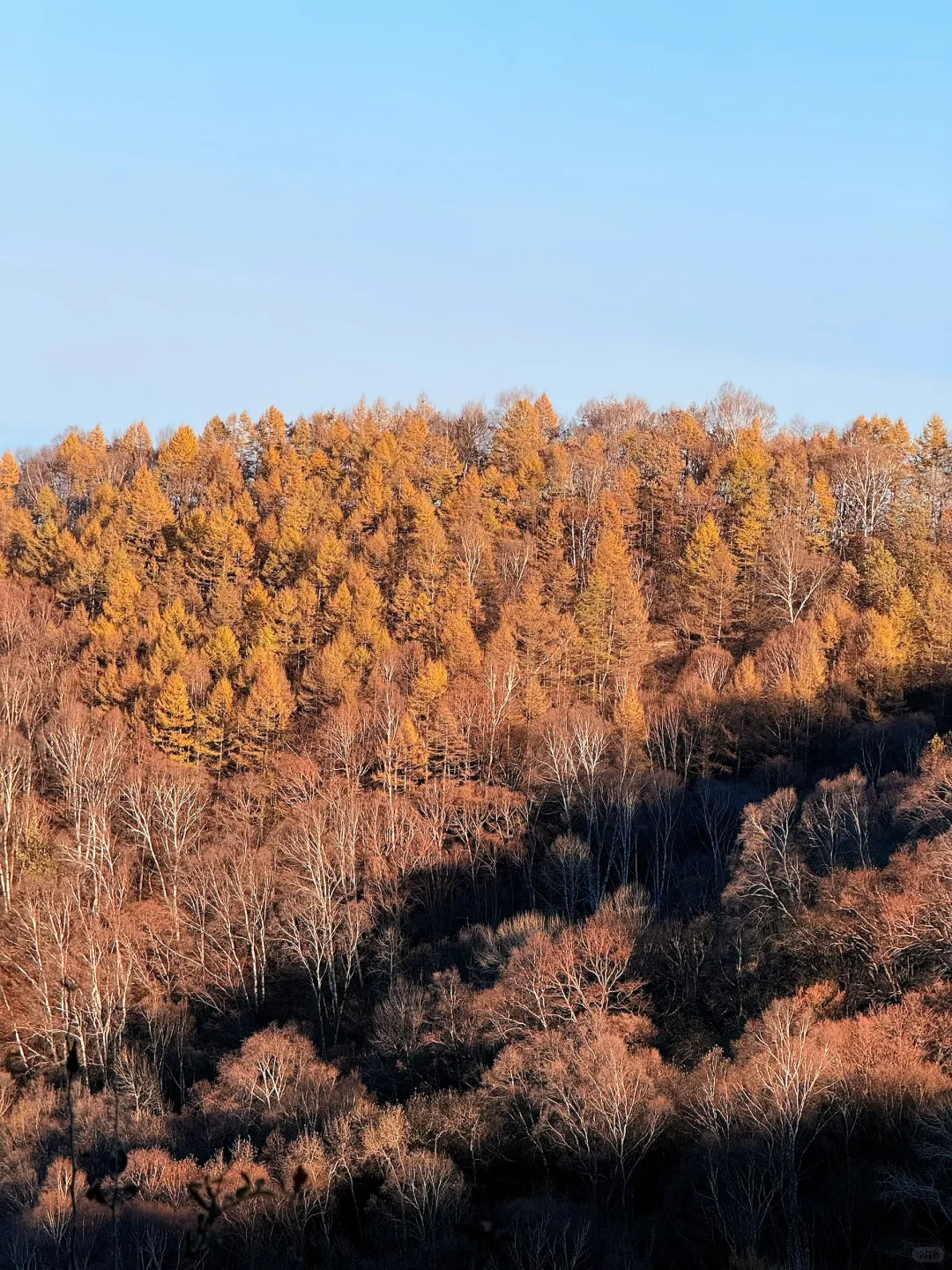 新手第一次爬五岳寨超全攻略|一定要保存好！
