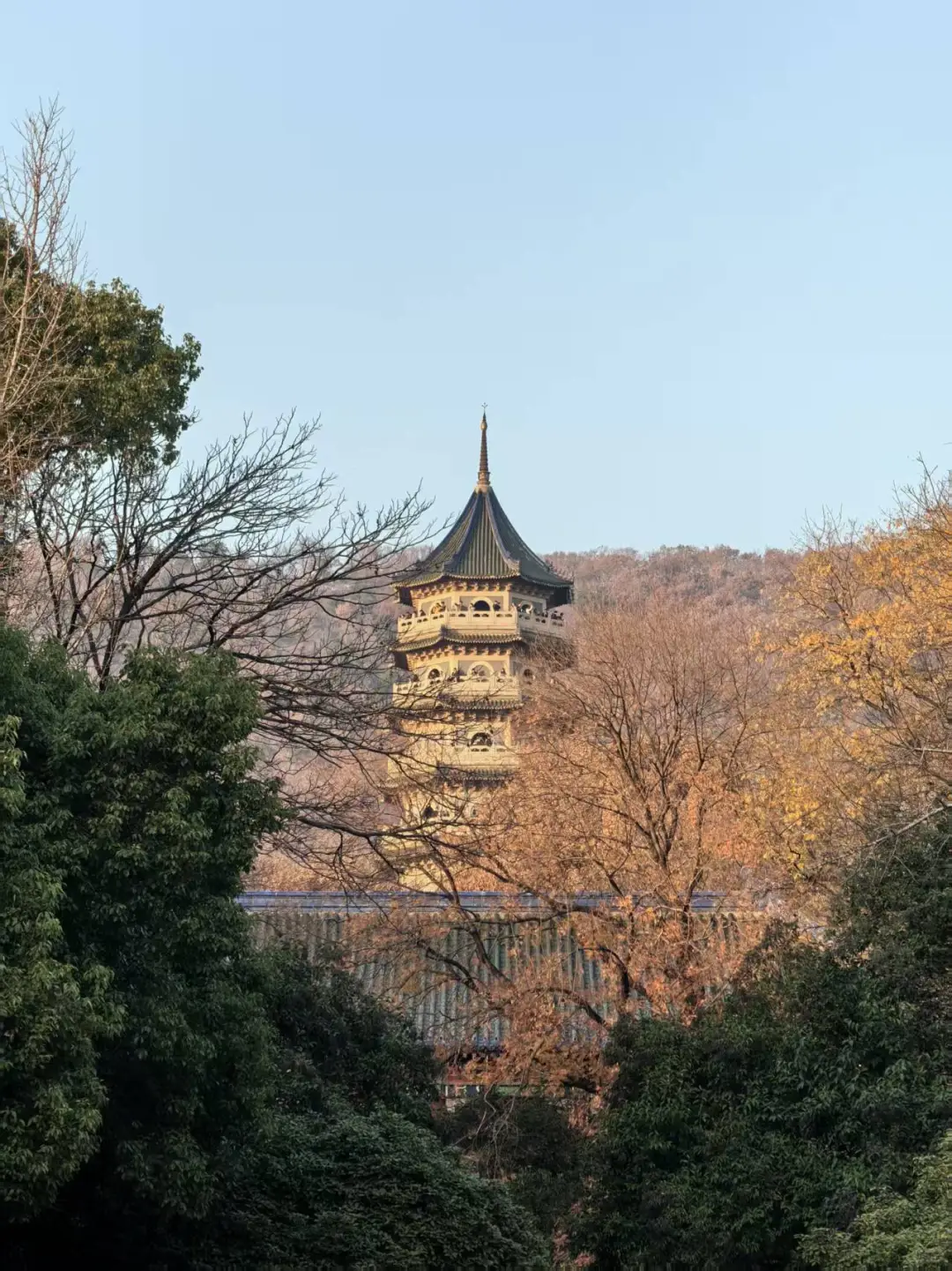✌️八小时暴走南京的秋游精华攻略🍁