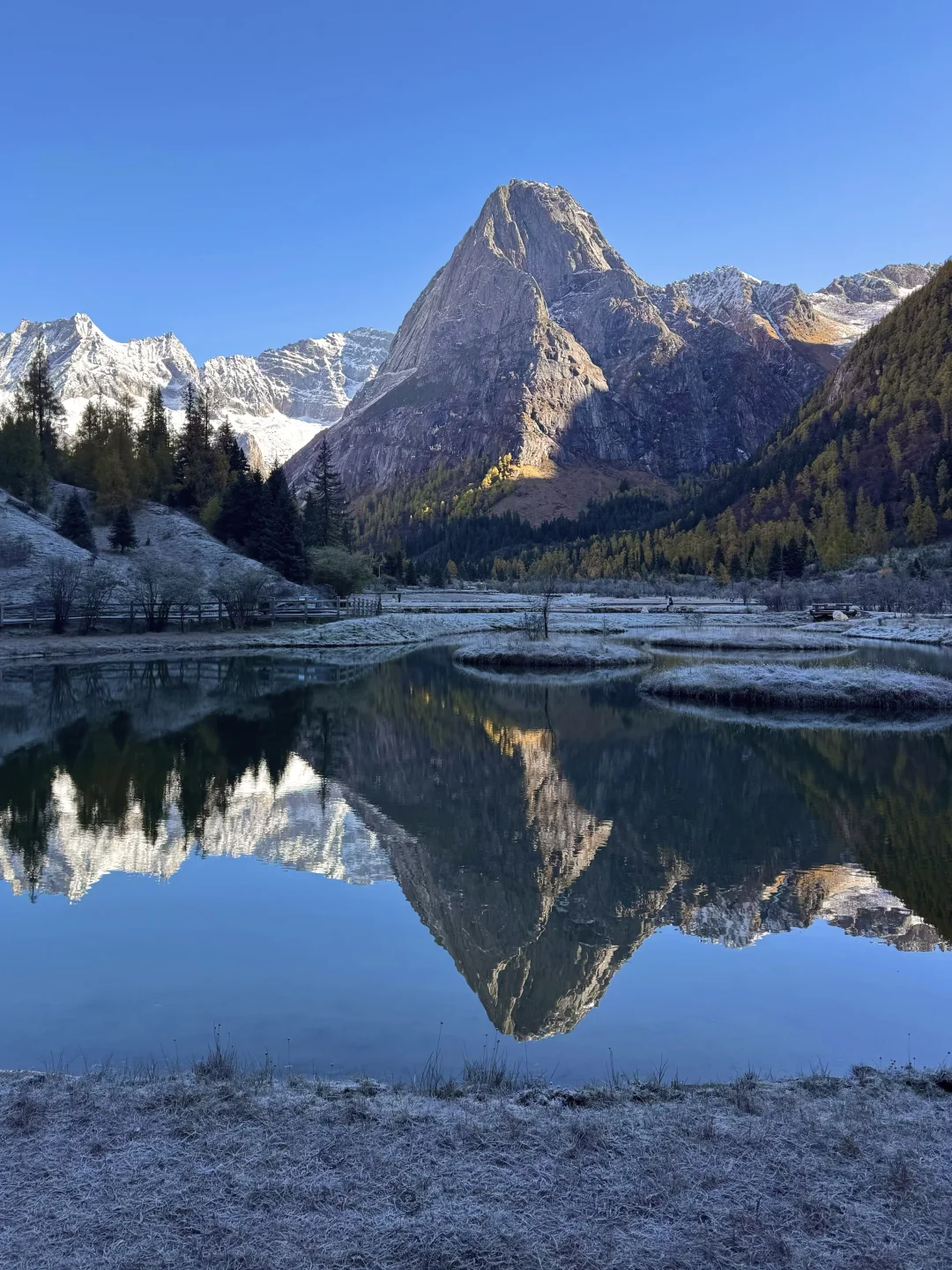 在川西，拍到了我的人生live图！
