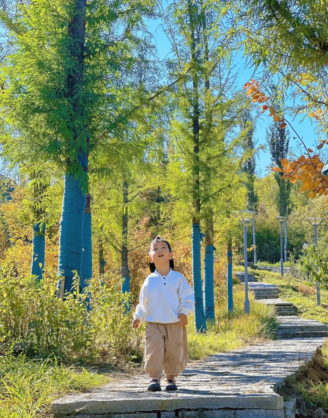 石家庄0元玩全天|附带娃动线