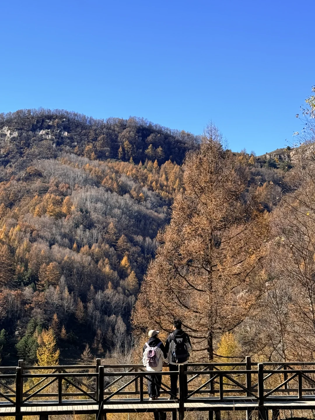 新手第一次爬五岳寨超全攻略|一定要保存好！