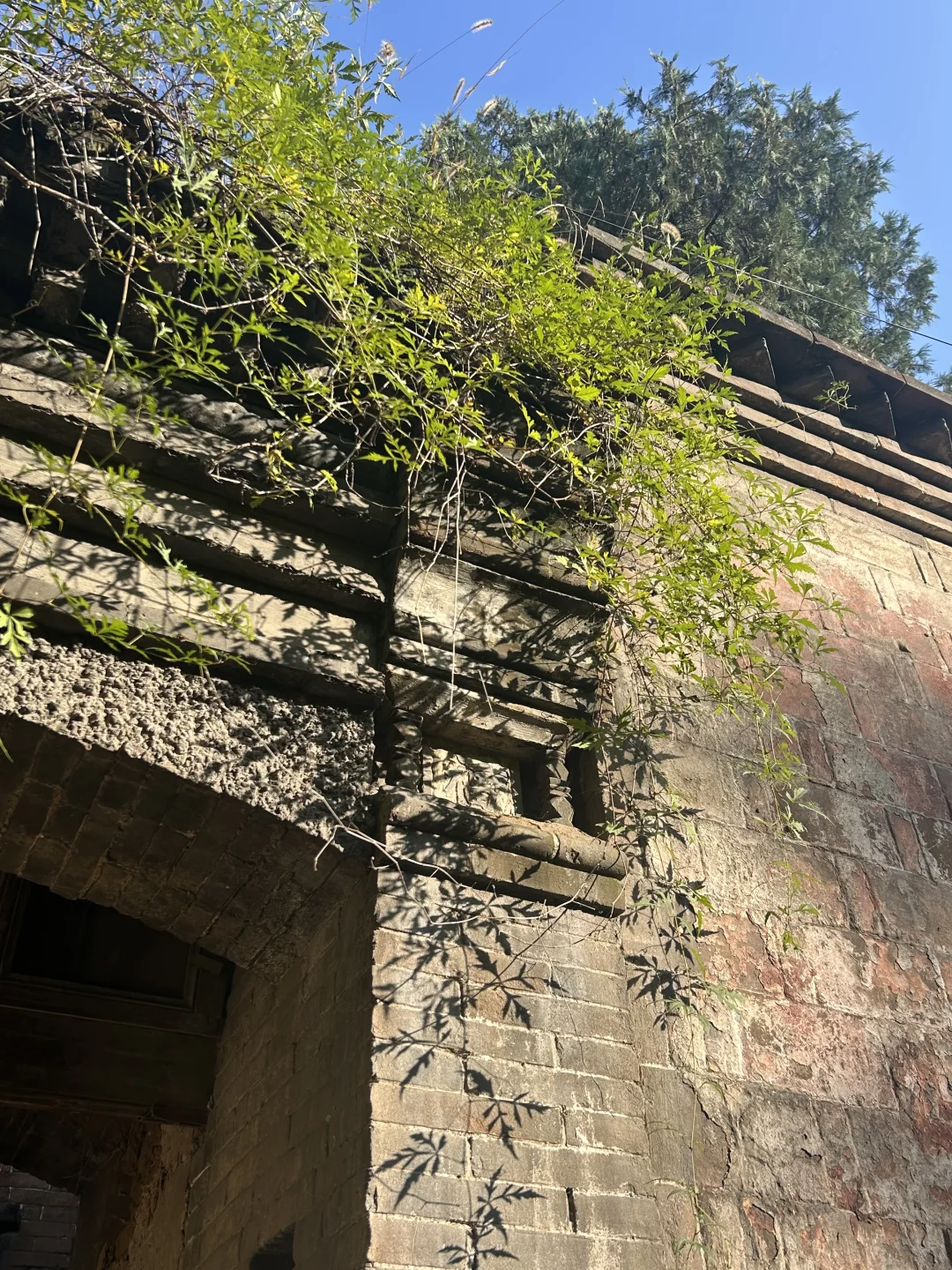 误入千与千寻的世界！石家庄！关键还免费！