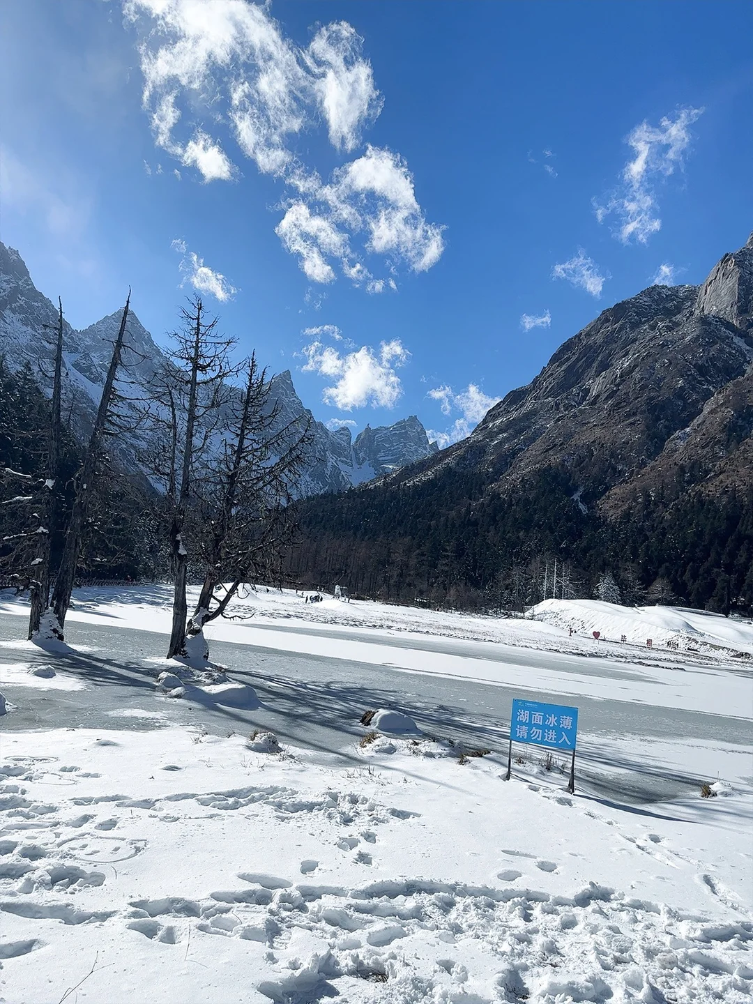 川西毕棚沟📍成都一日游往返167💰含门票
