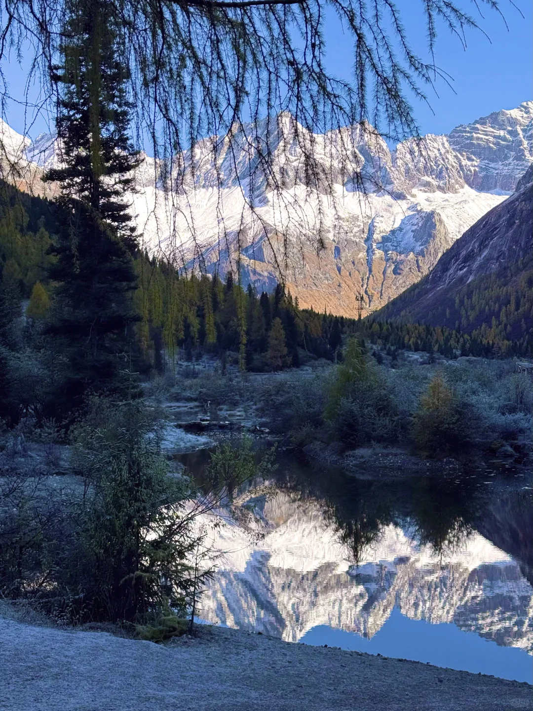 在川西，拍到了我的人生live图！