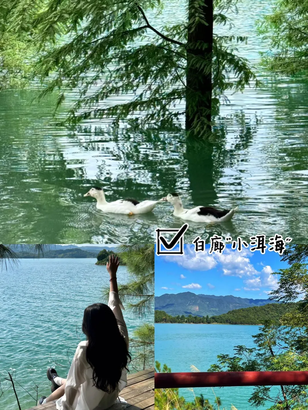 郴州春节游玩景点推荐🤚收藏攻略❗️