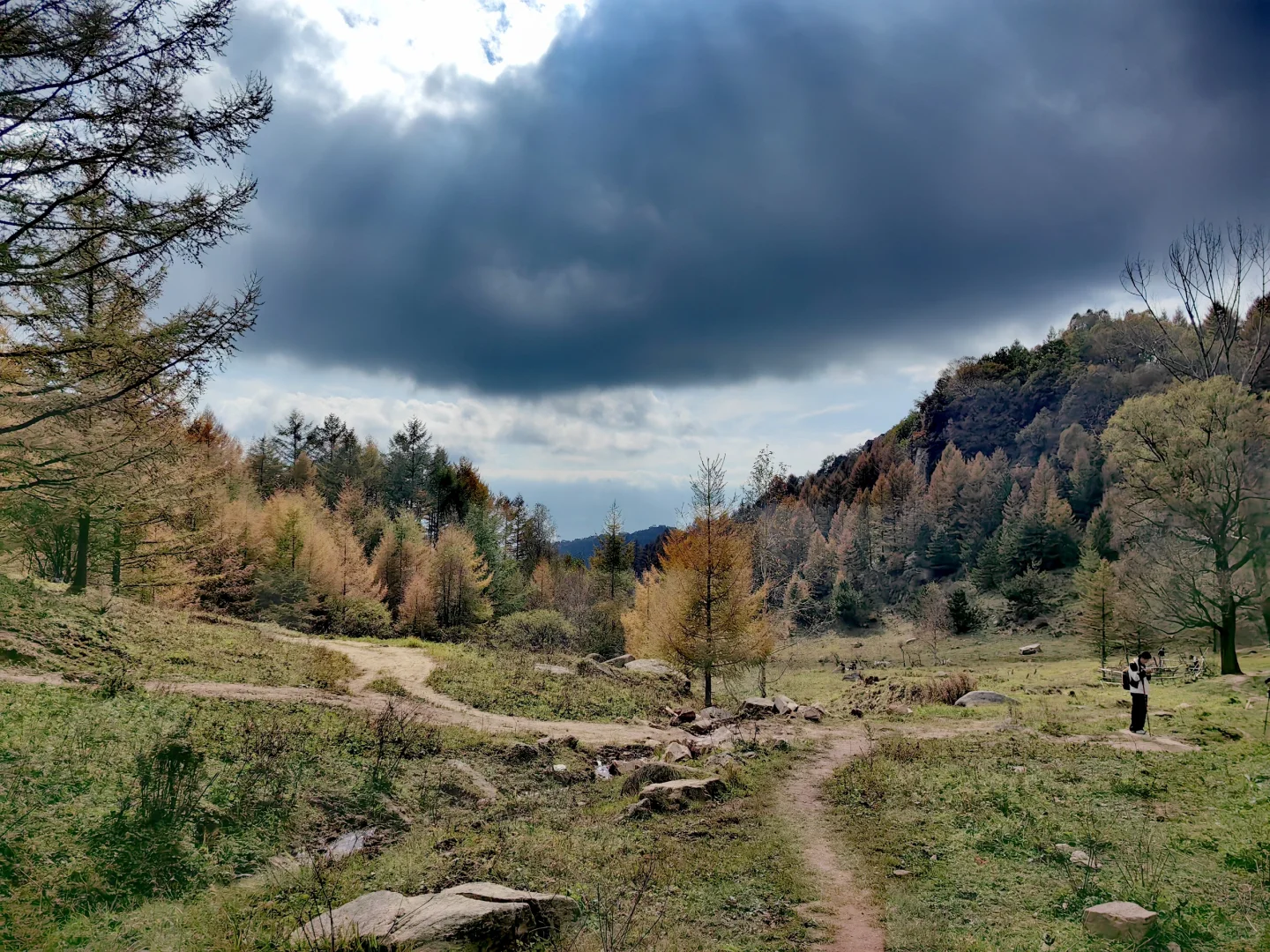 石家庄|没去新疆阿勒泰，被这里美哭了！