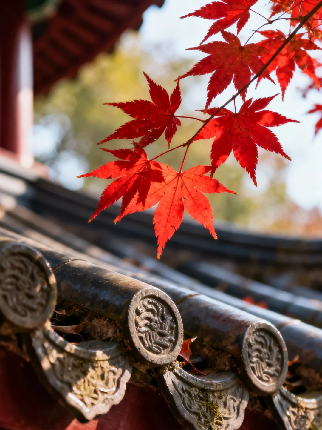 岳麓山的枫,是把杜牧的诗烧着了啊