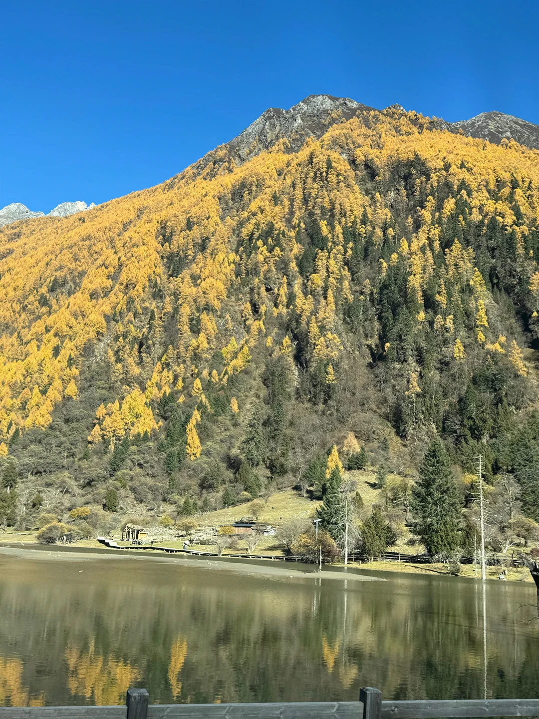 11.10📍四姑娘山已回，真心提醒要去的姐妹们