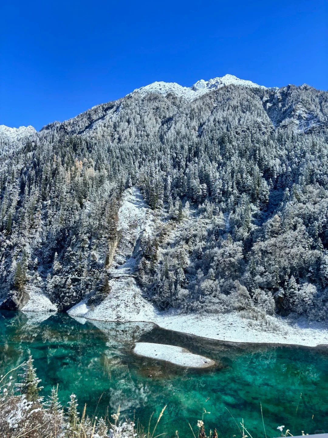 11.17📍九寨沟❗雪景+半价门票真心推荐