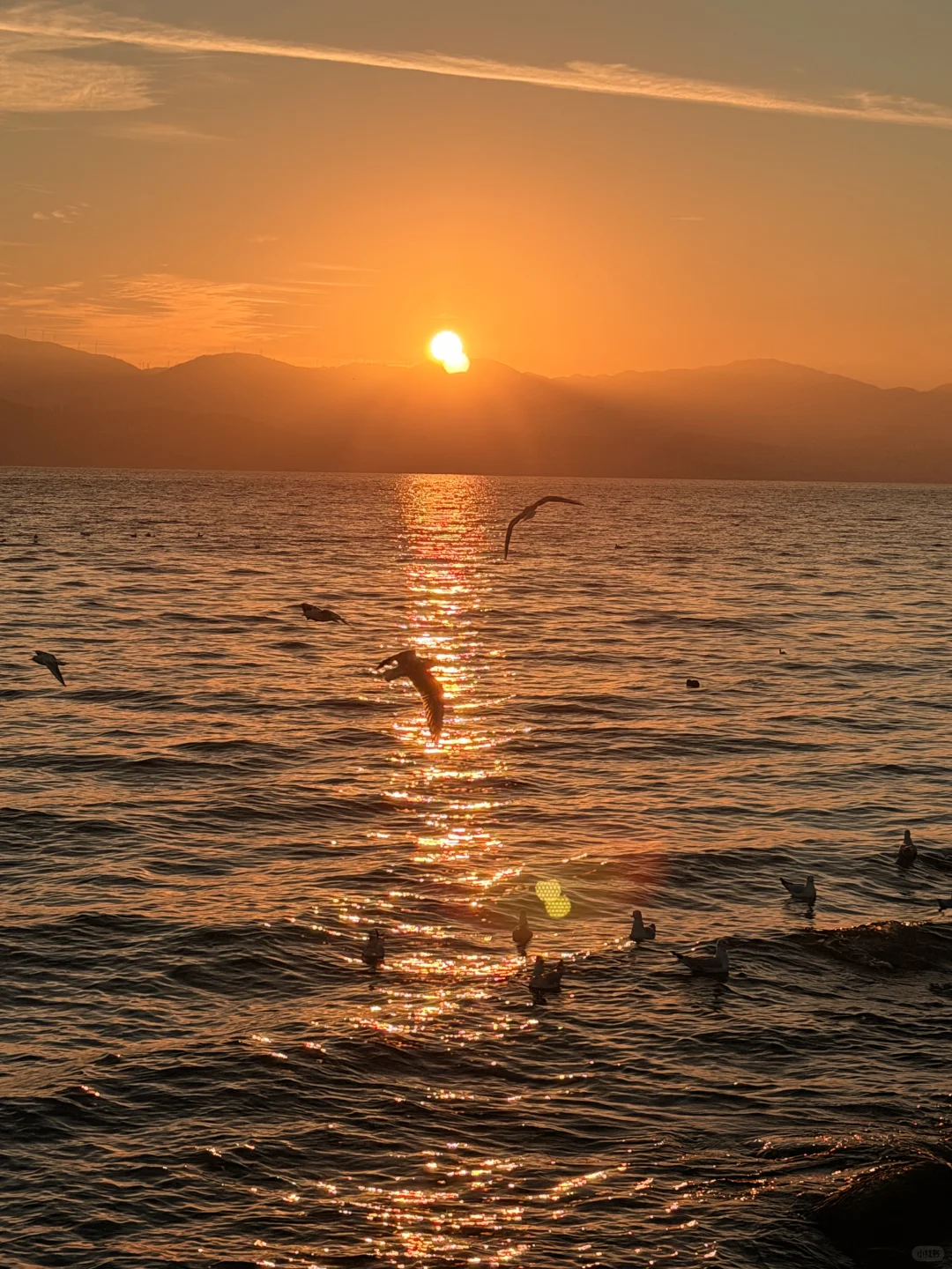 live实况🕊️今天的大理！！！杀疯了！！！！！！！！