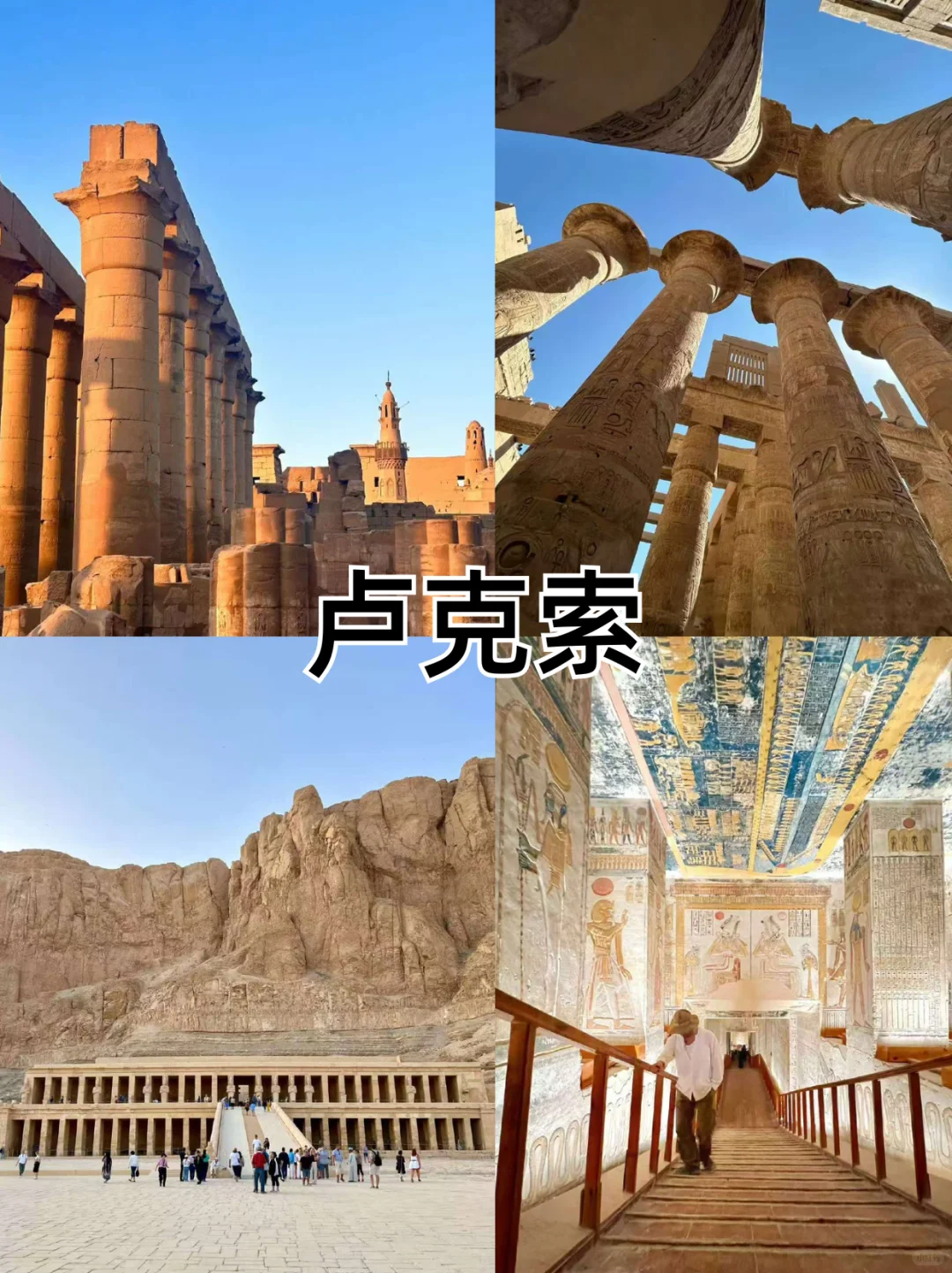 为什么我去埃及旅游之前没刷到这一篇😅