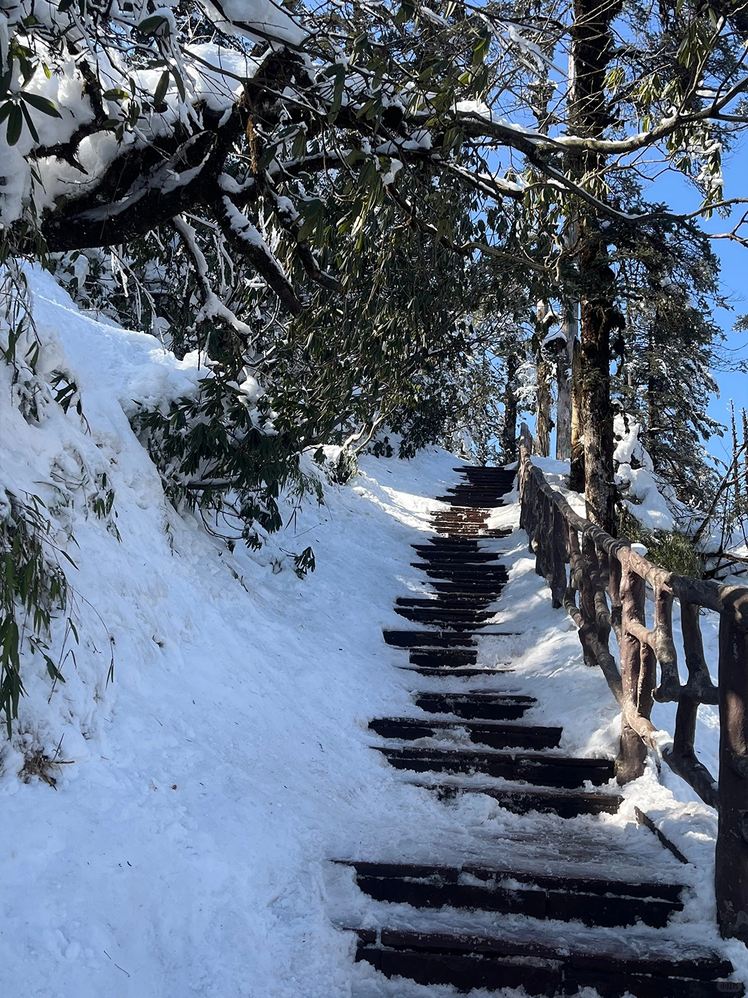 去瓦屋山提前买票❗️门票➕双索道套票168💰