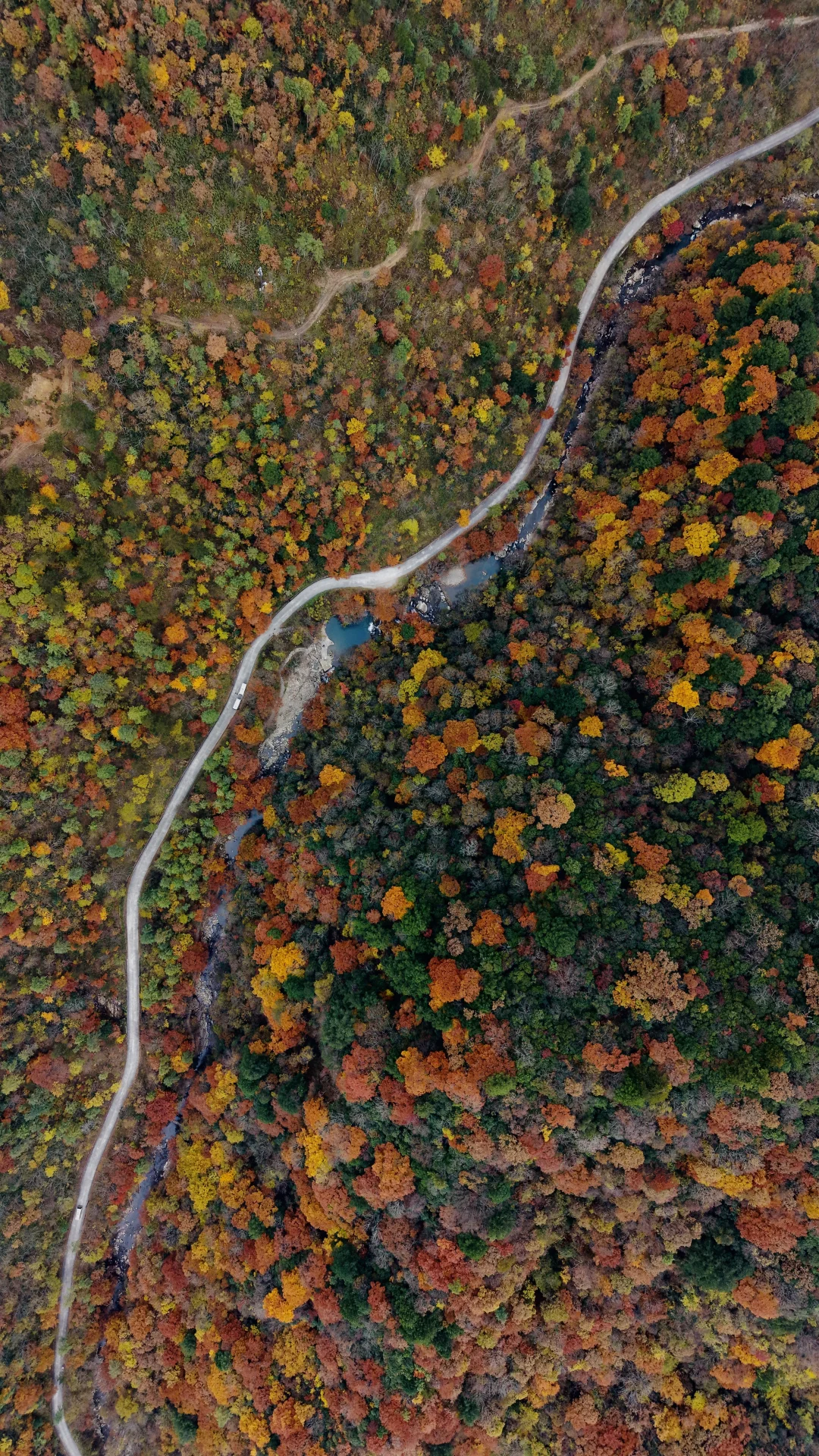 神仙视角下的黎坪秋色