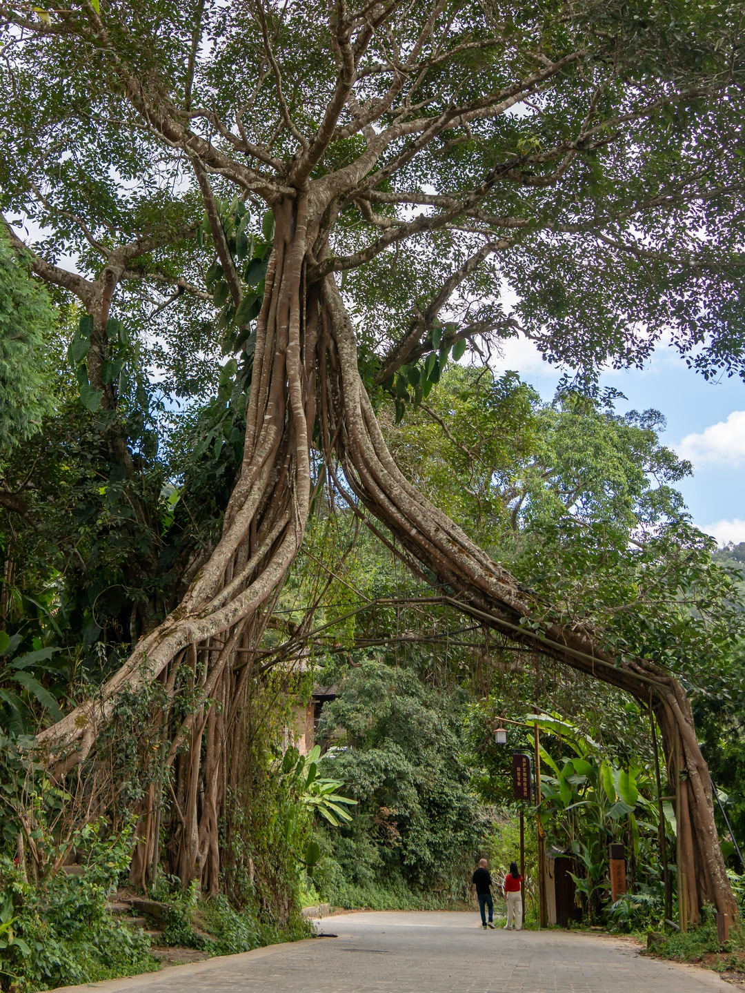 今年去过最冷门治愈的地方,我很怕它火