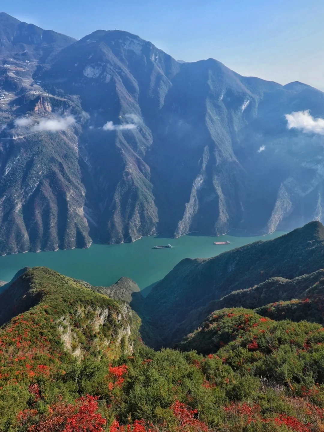 强推你们11月来三峡！世纪游轮的秋色封神了