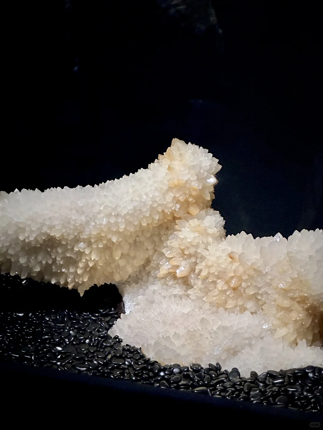 济南人欠全国一个解释。。。。。。。。。。