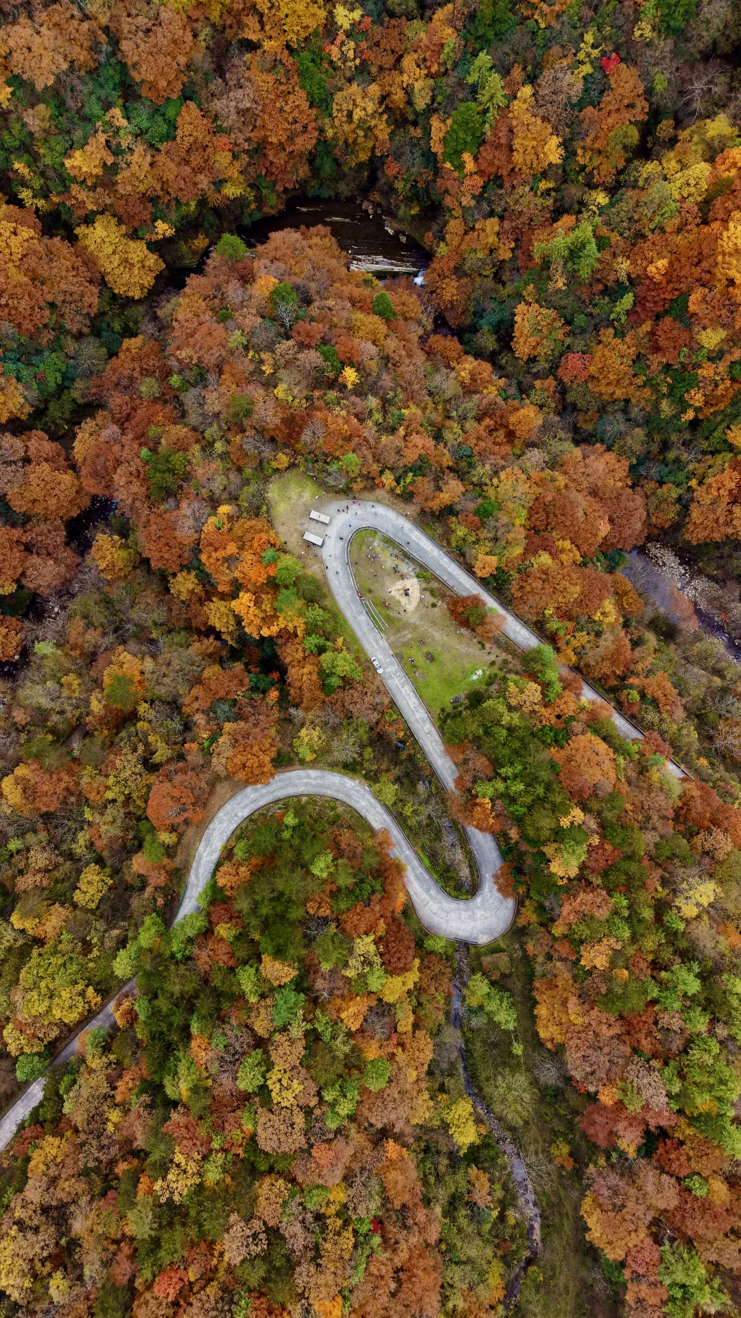 神仙视角下的黎坪秋色