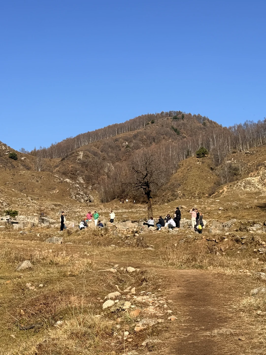 中台山村现状👨‍🦽‍➡️