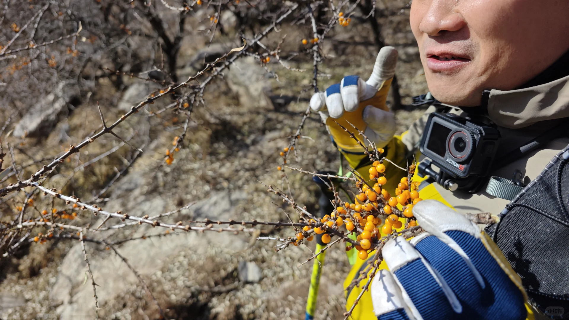 11月23日国际庄周边冬天好去处往这看😏