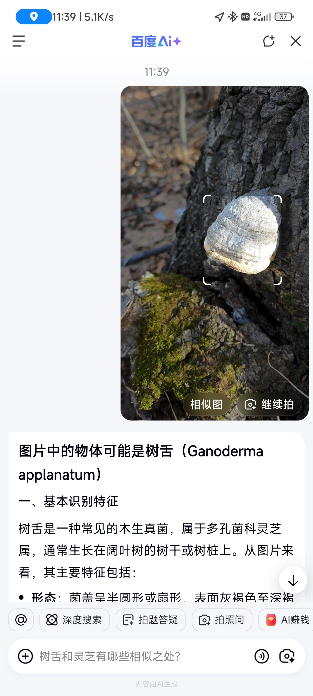 11月23日国际庄周边冬天好去处往这看😏