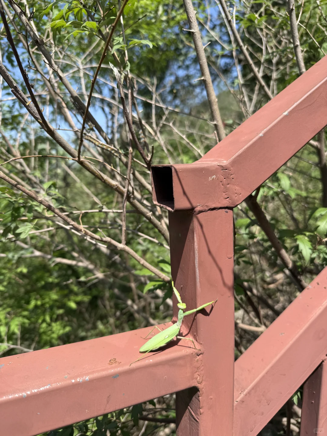 畅玩石家庄惠民卡—璧山