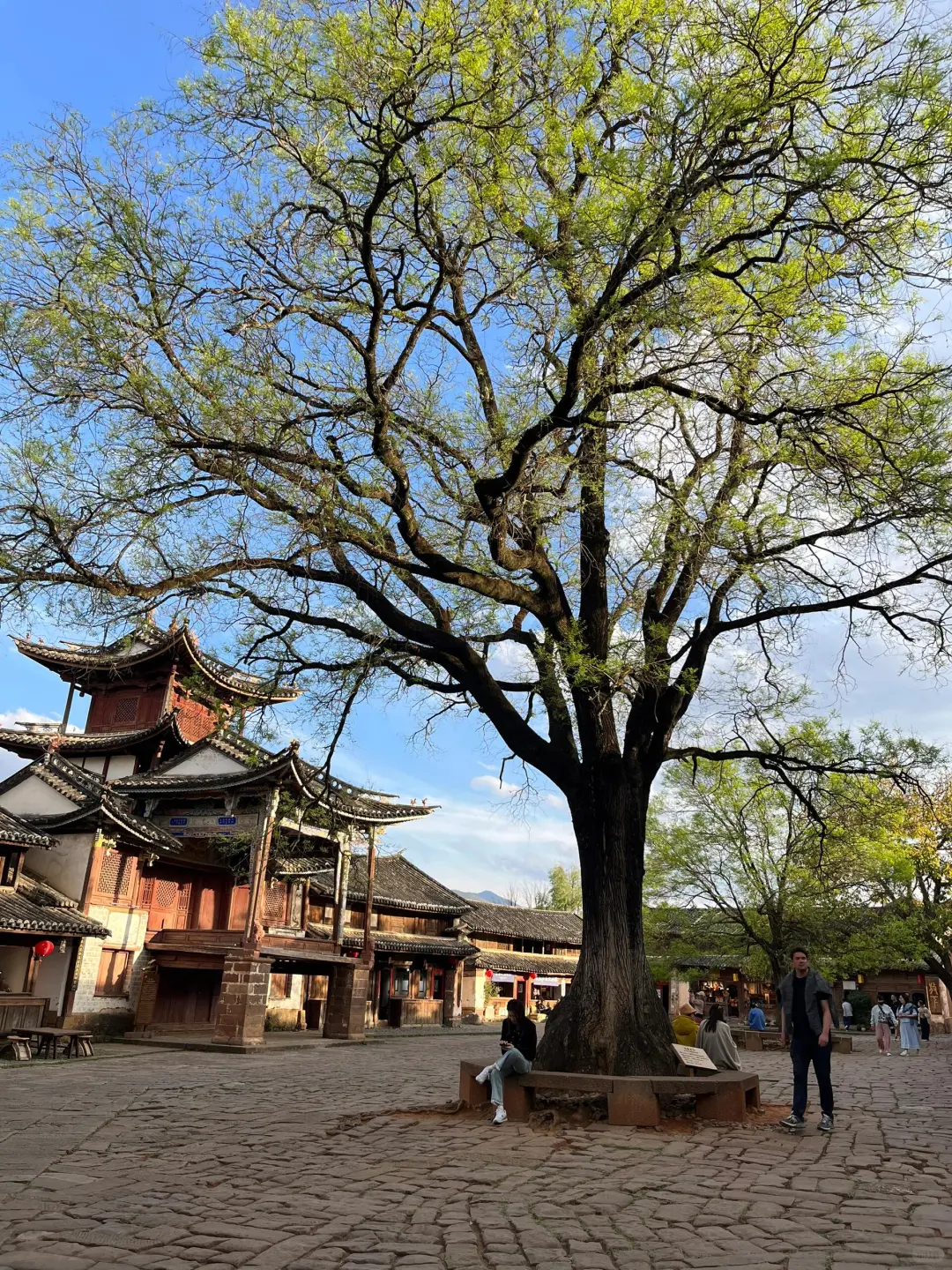 11~12月云南旅游bi备✨纯玩小团指南👭快