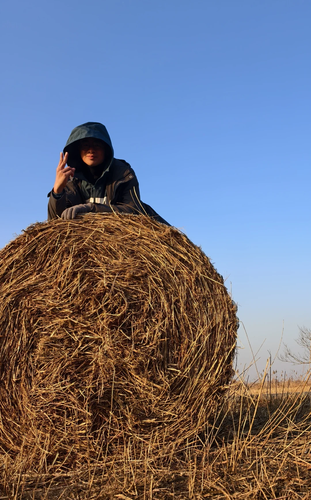 在黄河口景区能玩一整天