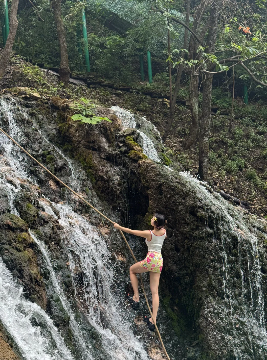 我真的会因为这个心洞再来一次洛阳!附攻略