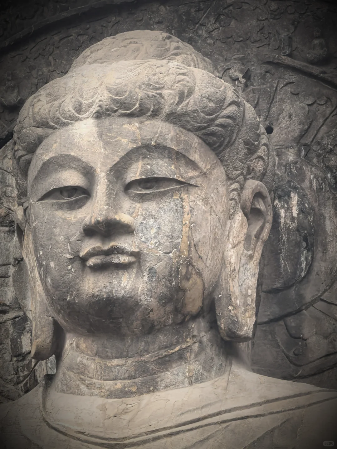 📍洛阳龙门石窟 | 千年佛国的有趣之旅✨