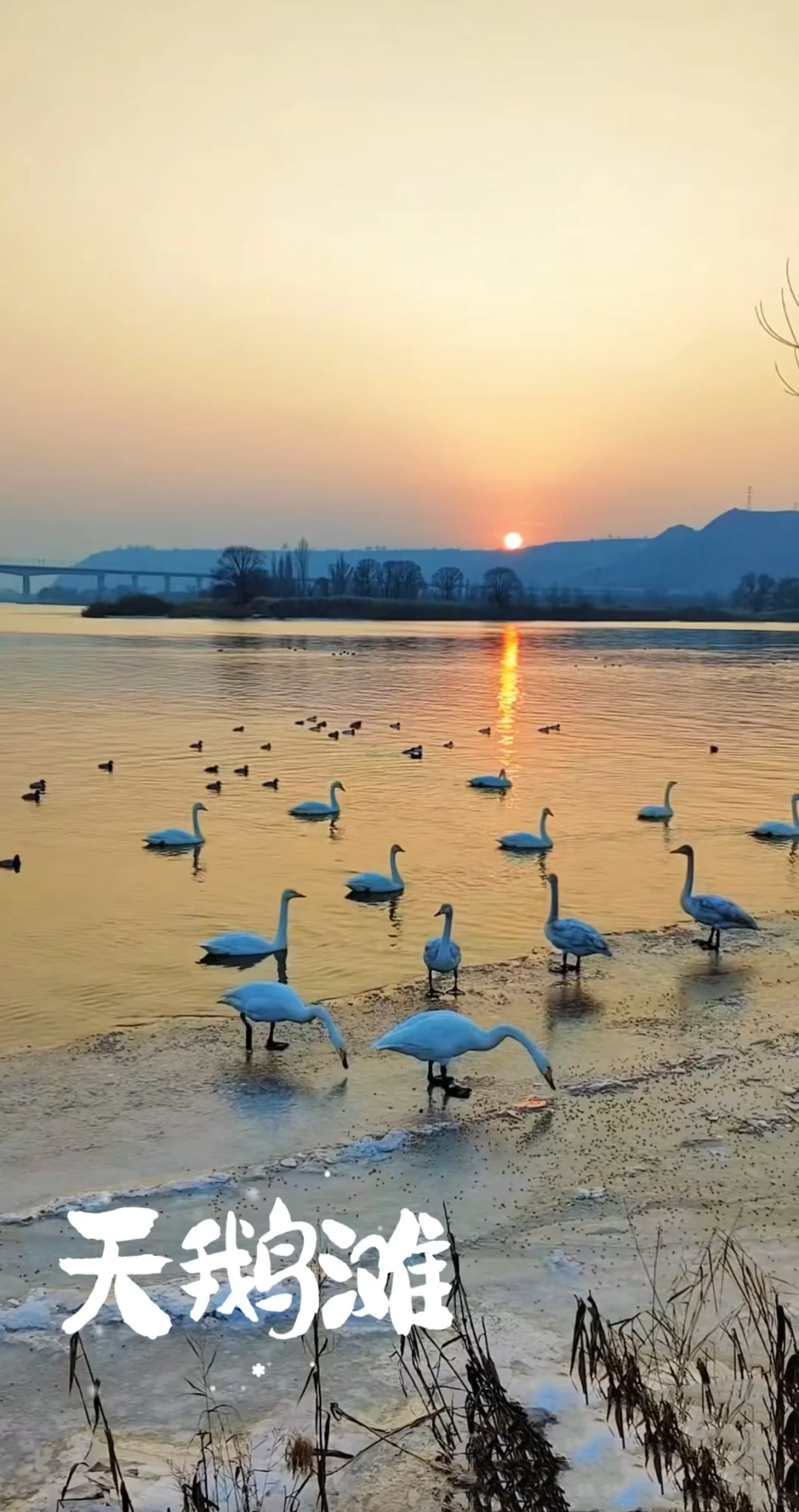 ❄️兰州冬日必打卡3地｜保姆级攻略+穿搭