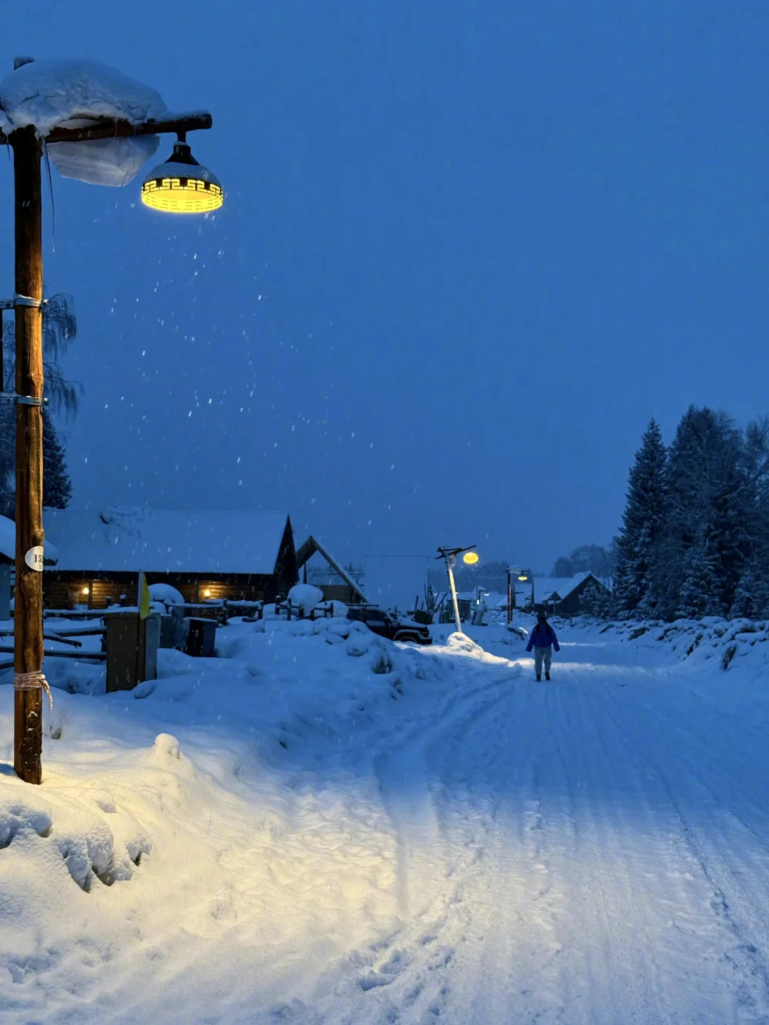 live图实拍｜冬天的北疆才是人间理想❄️