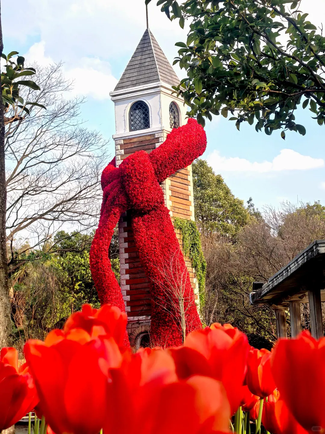 云南轻奢品质游🔥12~2月寒假去6天这么玩