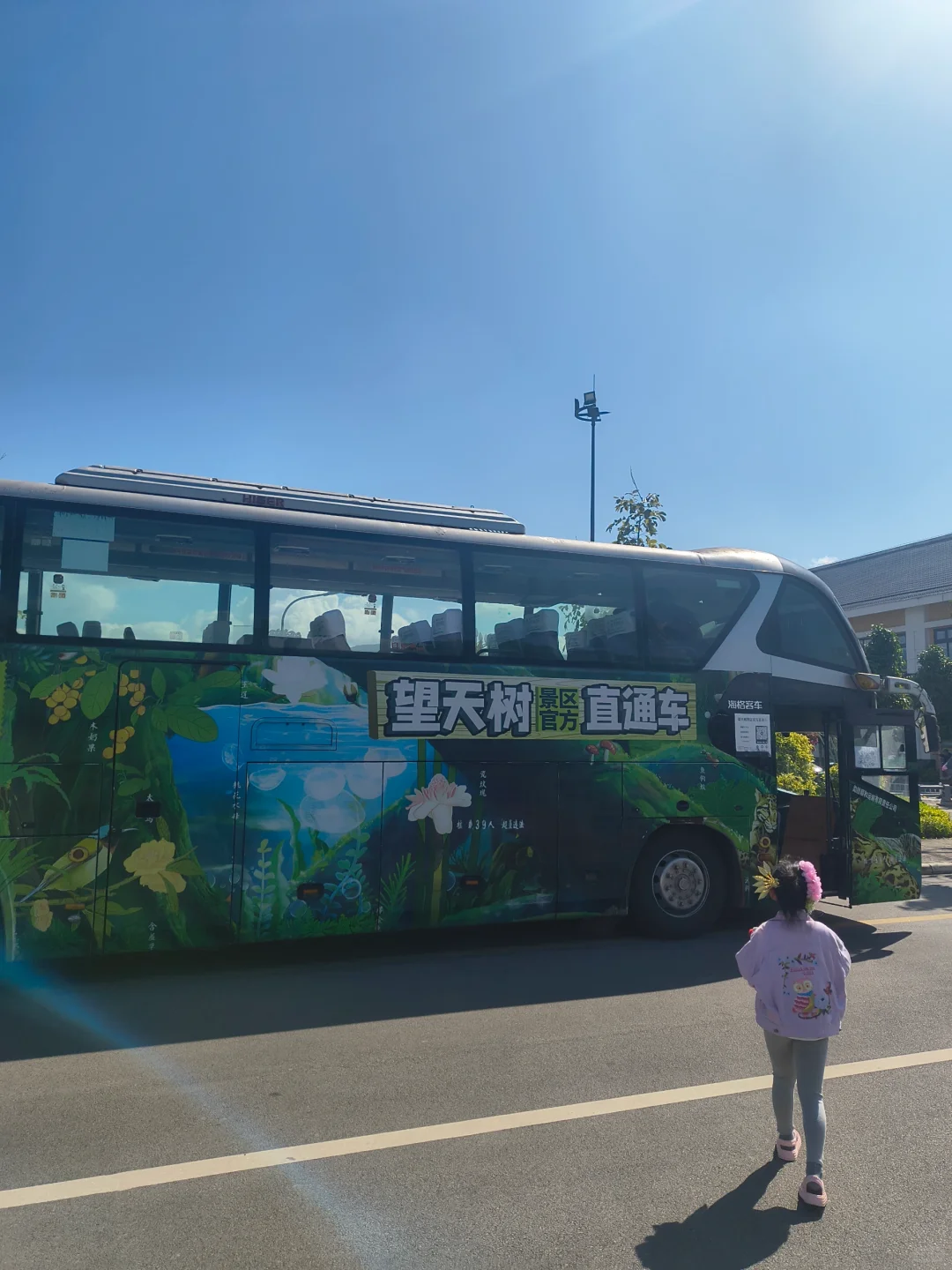 坐高铁去望天树景区