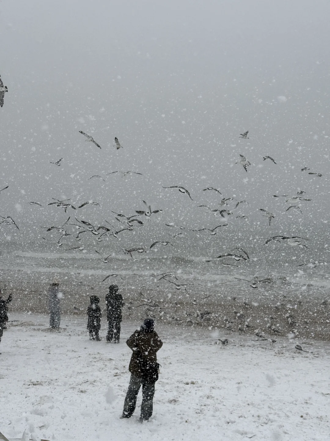 12.2威海实况！有雪又有海的浪漫❄️