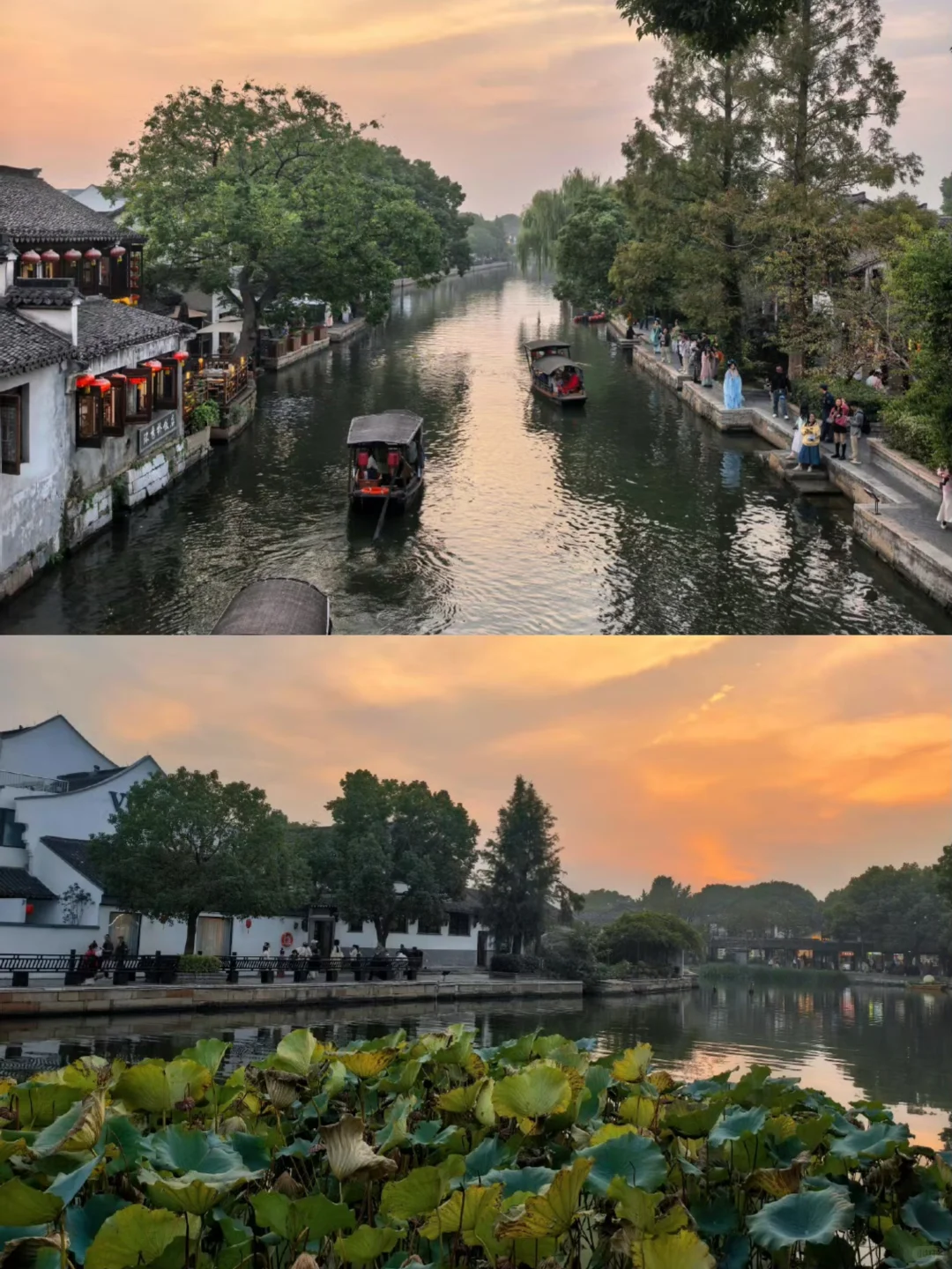 社恐友好!西塘避开人潮的逛吃逛玩路线
