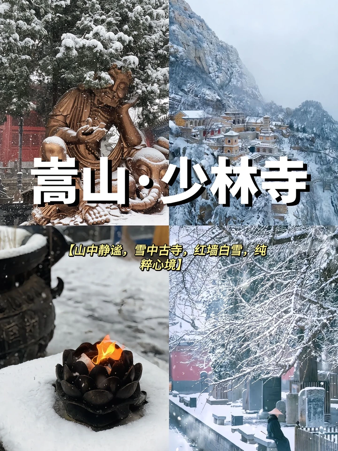 ❄️河南十二月|一下雪就美成神仙故里!