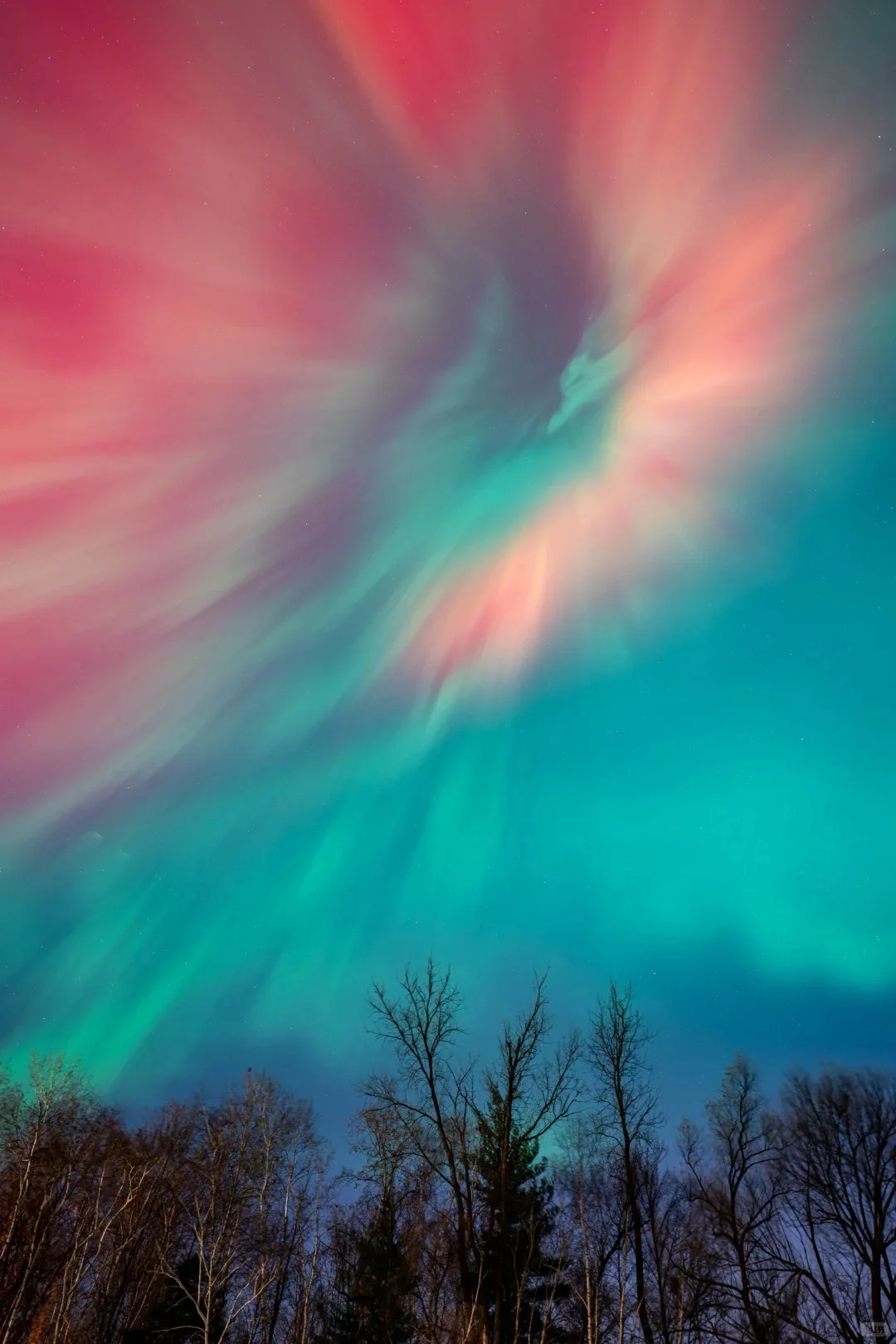 漠河📍比俄罗斯便宜3倍，被严重低估的极光地