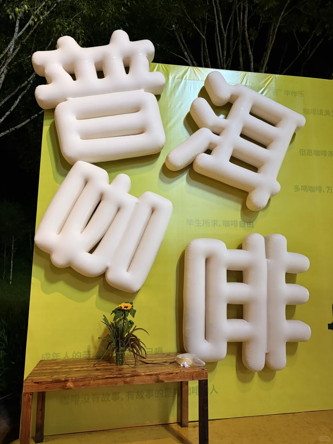 普洱| 咖啡庄园体验和看小熊猫的一天