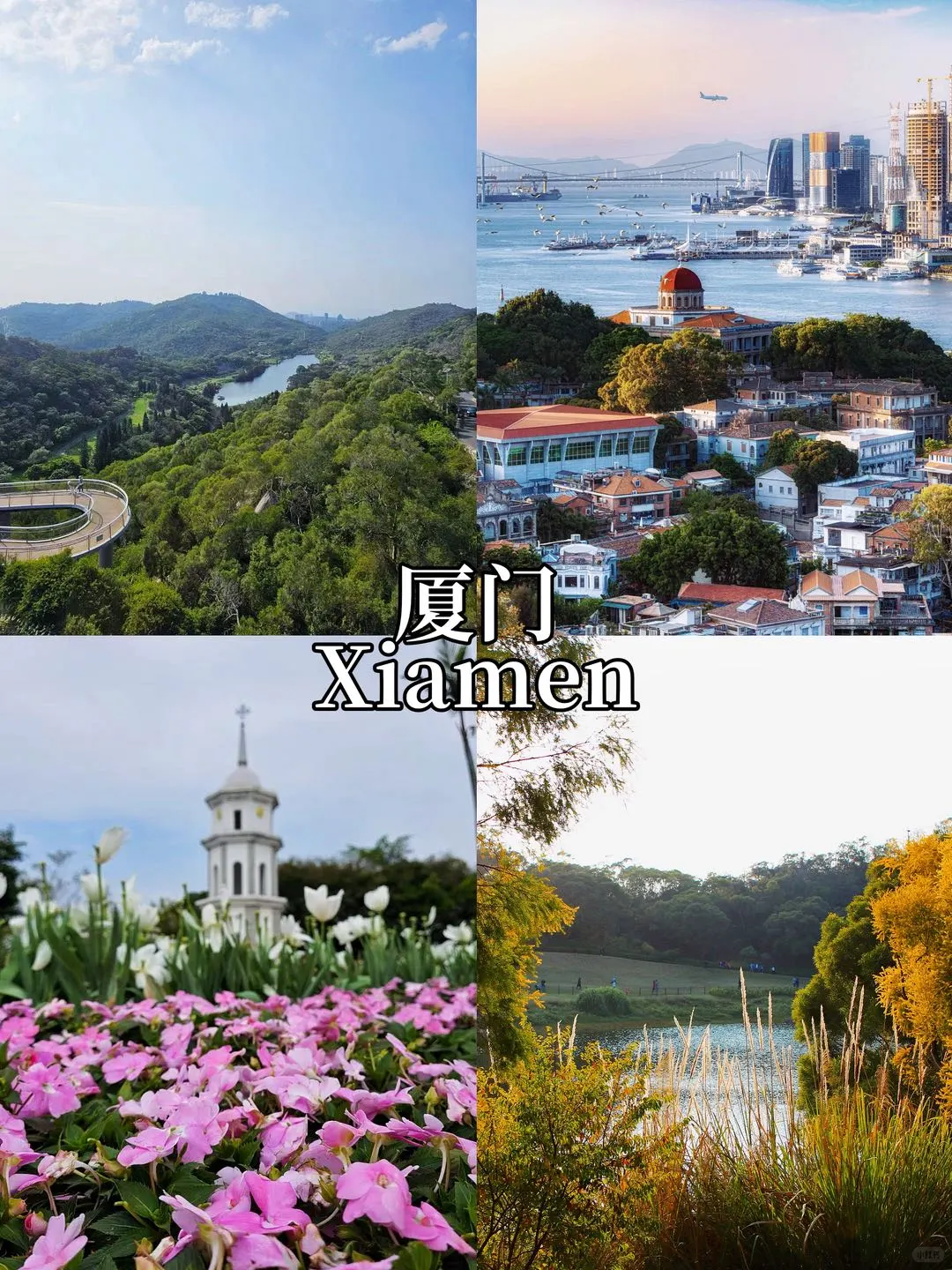 🇨🇳中国冬季避寒胜地｜Warm Winter Escapes