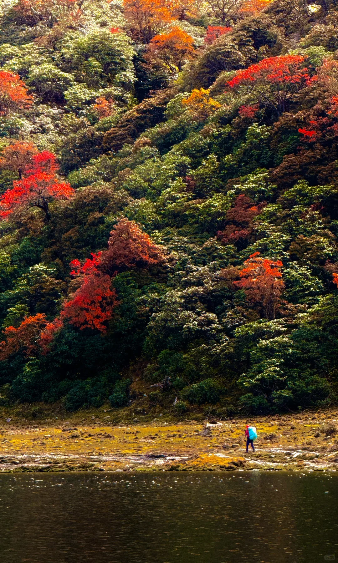天🦆！！！这是到了天堂吗！！！📍附攻略