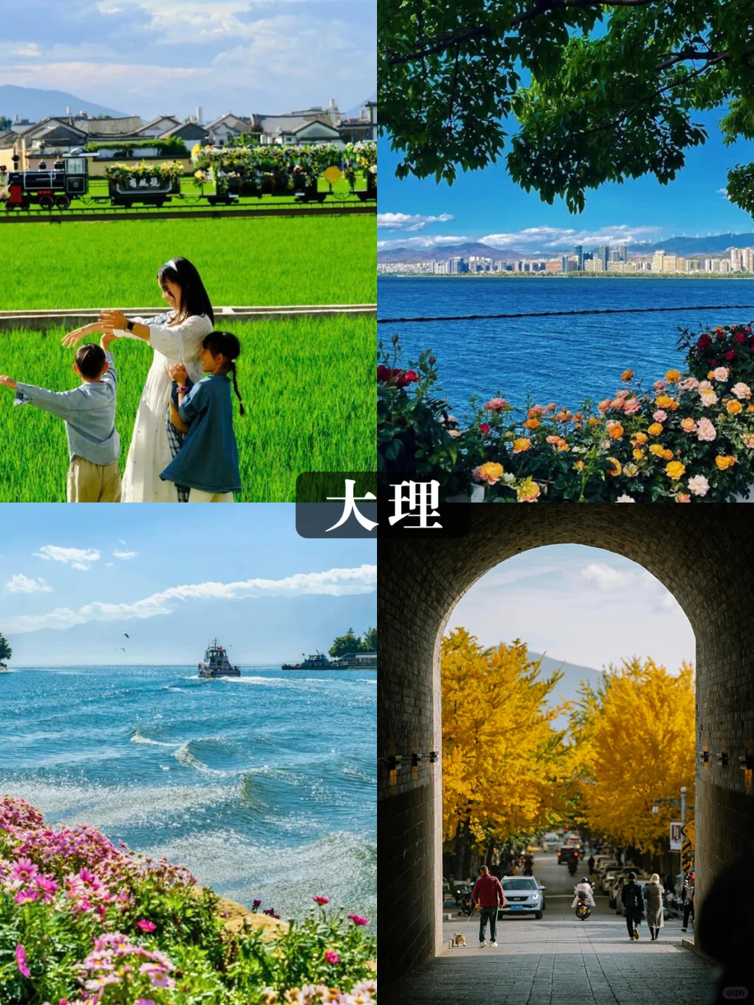 从风花雪月到热带雨林💰人均1k+玩到爽❗