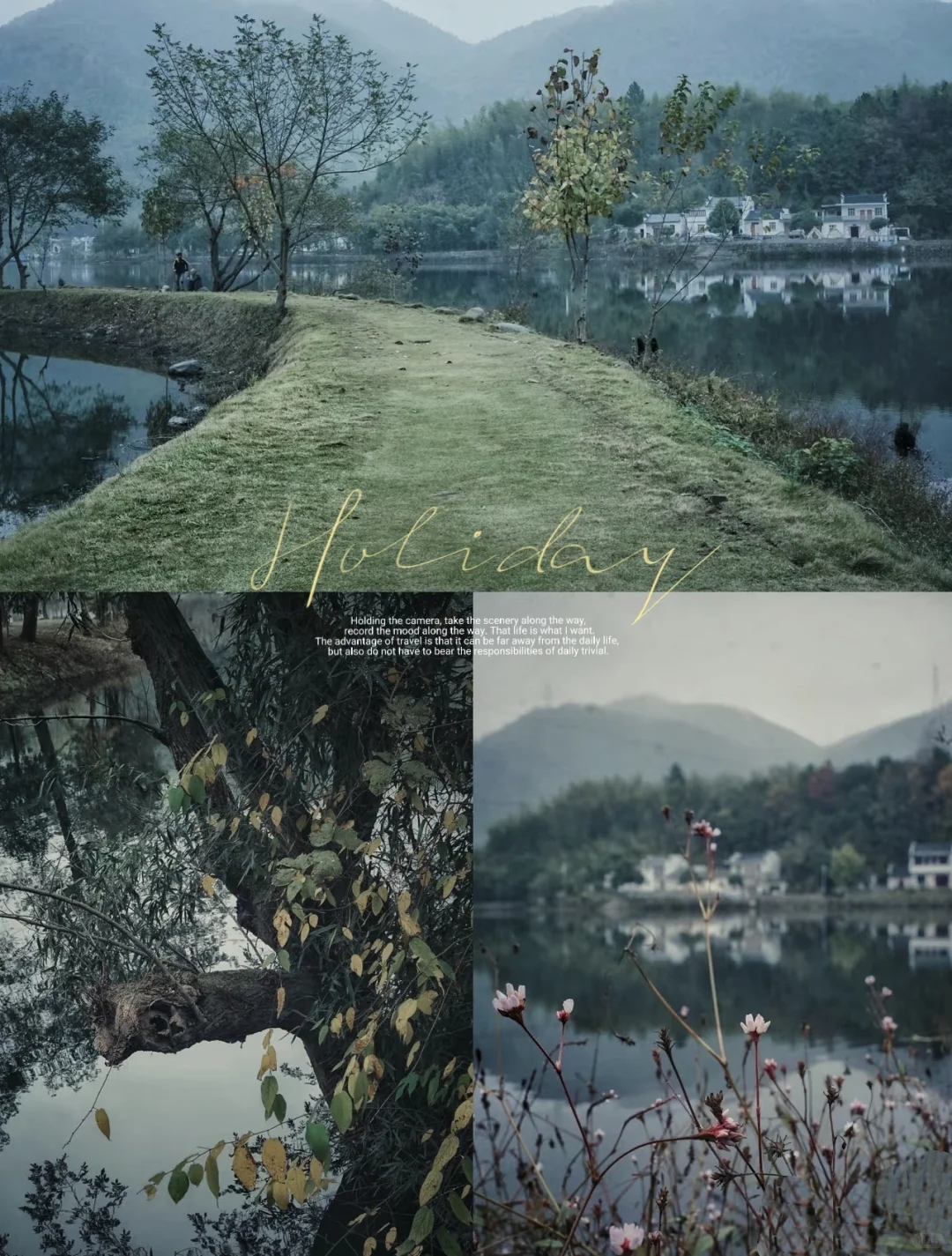 暮秋必冲 皖南落羽红杉已红透 错过等明年