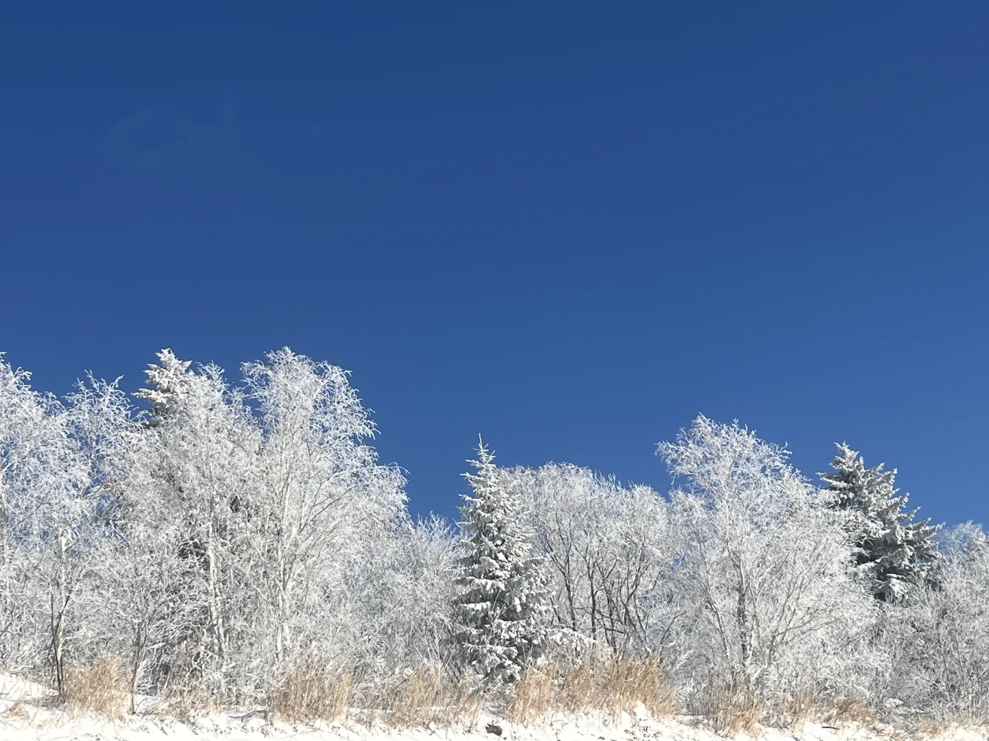雪岭 又可以玩雪了