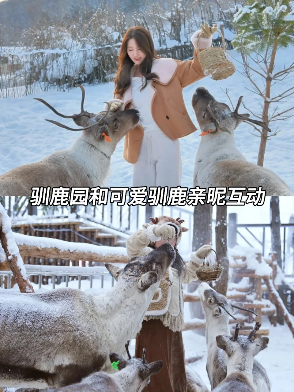 南方小土豆狂喜🧣来东北6天必玩攻略❄️