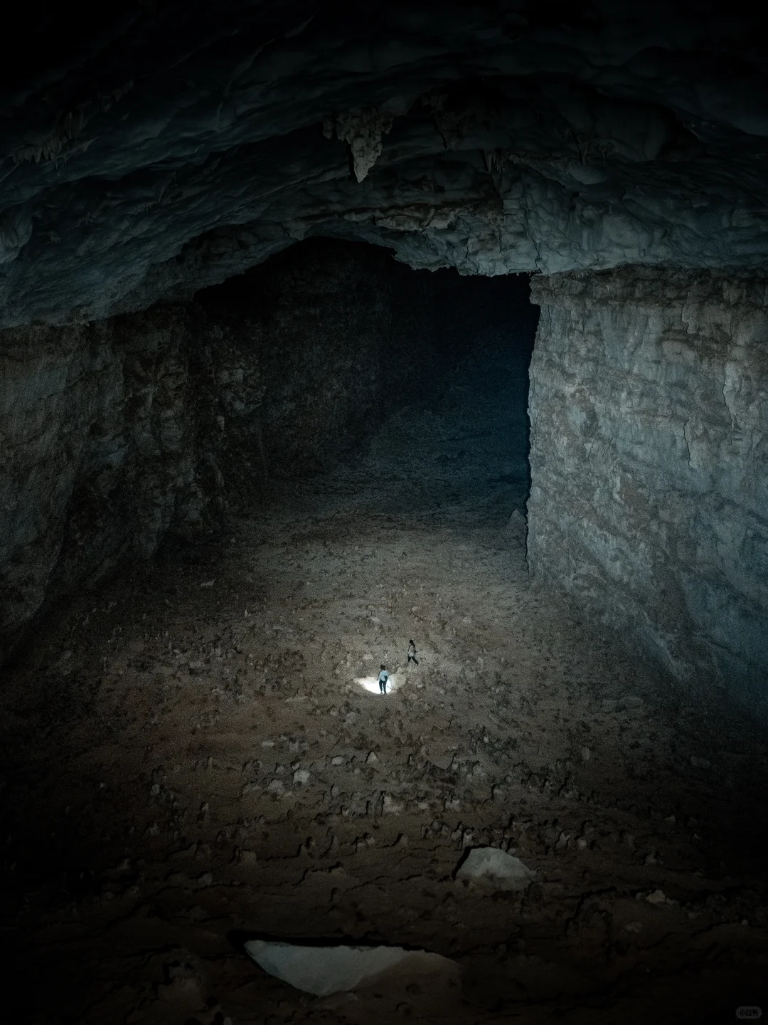 太绝了!寻到了洞中的侏罗纪|穿越时空